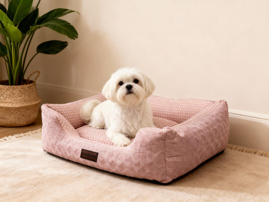 The Arctic Dream Cooling Dog Bed