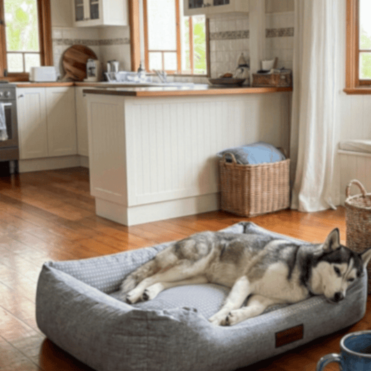 The Arctic Dream Cooling Dog Bed