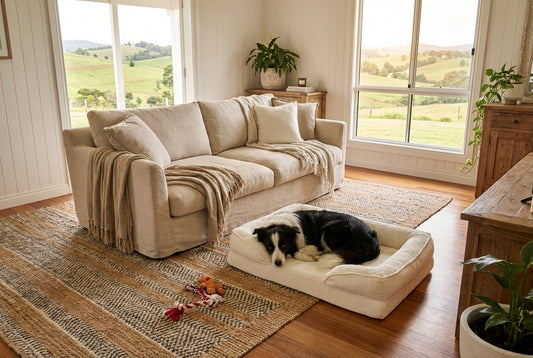 Marshmallow Cover for Day Dream Orthopaedic Bed