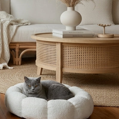 Schnugg as a Bug - Premium Heated Portable Dog Bed for Australian Winters