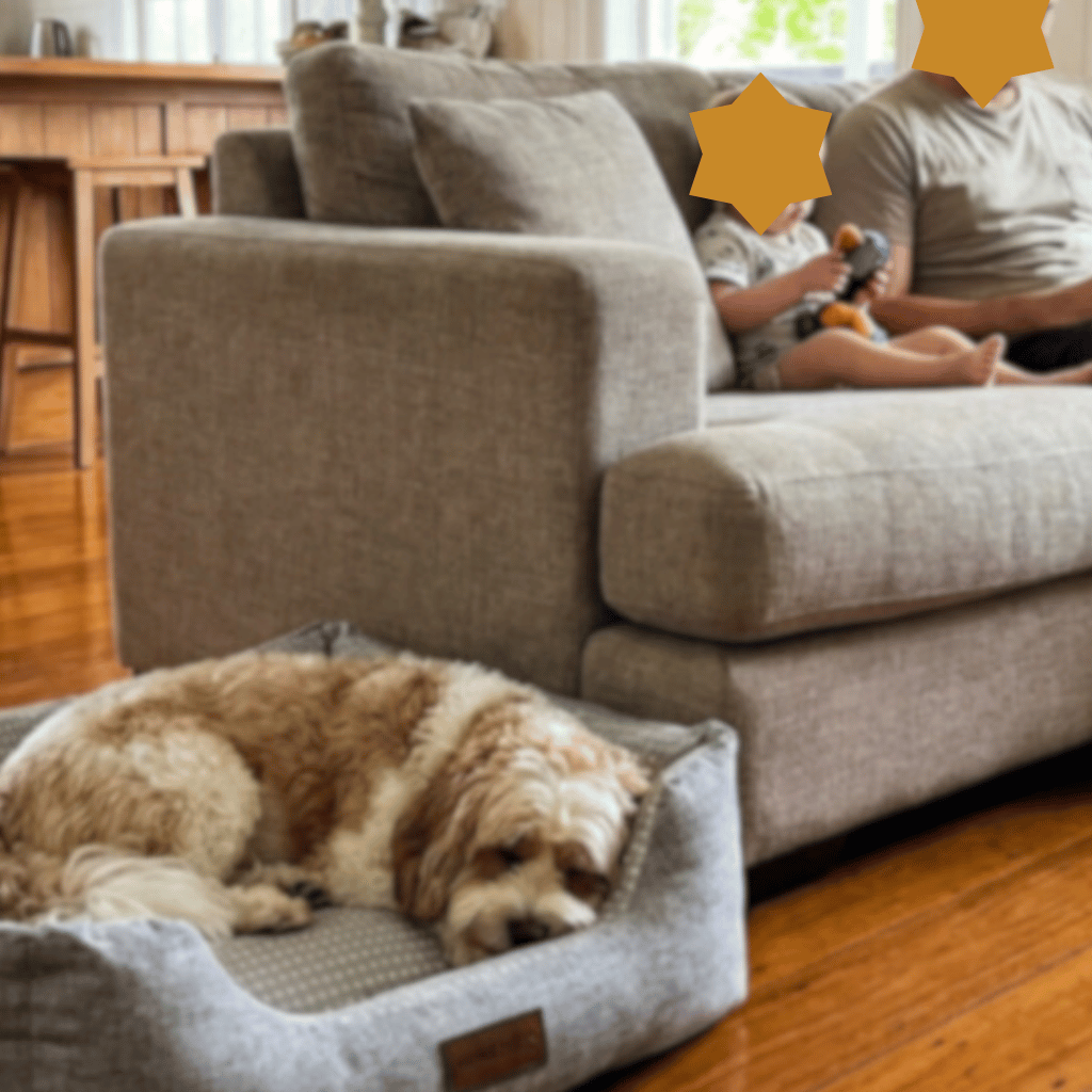 The Arctic Dream Cooling Dog Bed